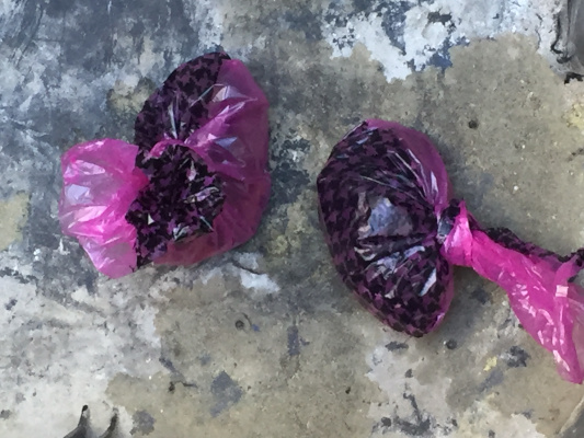 Who put poop in my trash can?